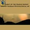 ISTDP Institute Treatment of the Fragile Patient Sheinov Russian Psychological Inf