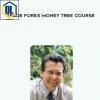 Larry Williams %E2%80%93 Trade Forex Money Tree Course