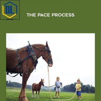 Rudy Hunter – The PACE Process