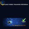 Tradingmastermind.com – Yin Yang Forex Training Program