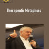 Frank Pucelik – Therapeutic Metaphors