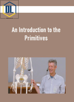An Introduction to the Primitives