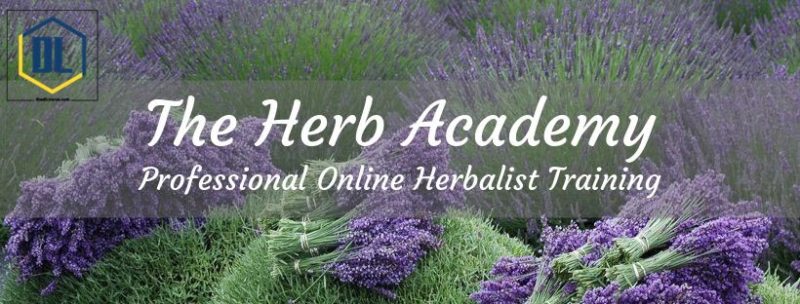 The Herb Academy fb header 1