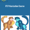 Jay Earley – IFS Polarization Course