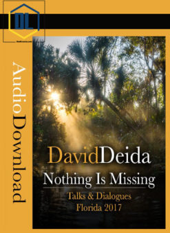 David Deida – Nothing is Missing – The 2017 Florida Talks
