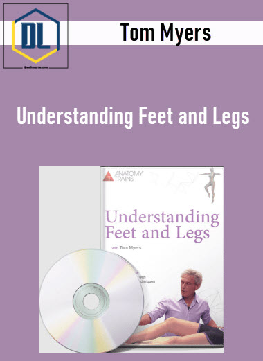Understanding Feet and Legs