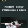 Henry Akins - Mind blown - Seminar armlock escapes & counters