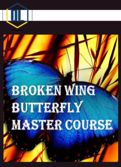 John Locke – Broken Wing Butterfly Master Track Series