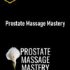Pleasure Mechanics - Prostate Massage Mastery