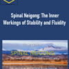 Energy Arts – Spinal Neigong: The Inner Workings of Stability and Fluidity