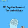 Neven Coaching Academy - CBT Cognitive Behavioral Therapy Certificate