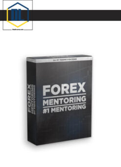 French Trader – Forex Mentoring