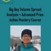 Big Boy Volume Spread Analysis + Advanced Price Action Mastery Course