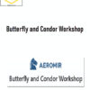 Amy Meissner – Butterfly and Condor Workshop