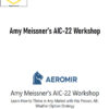 Aeromir – Amy Meissner’s AIC-22 Workshop