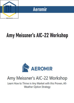 Aeromir – Amy Meissner’s AIC-22 Workshop