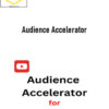 William Lee – Audience Accelerator