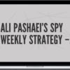 Ali Pashaei – SPY Weekly Strategy – All Three Classes