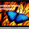 John Locke – Broken Wing Butterfly Master Track Series