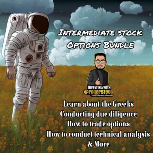 Mark N.Rogers – Intermediate Stock Options Bundle