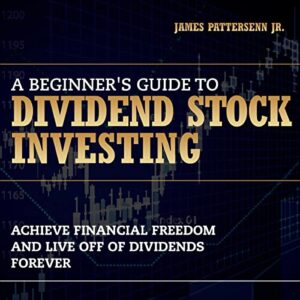 Stone River eLearning – The Beginners Guide to Stock Market Dividend Investing 2.0