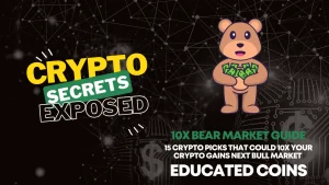 Educated Coins – 10X Bear Market Portfolio
