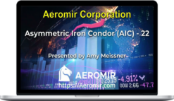 Aeromir – Amy Meissner’s AIC-22 Workshop