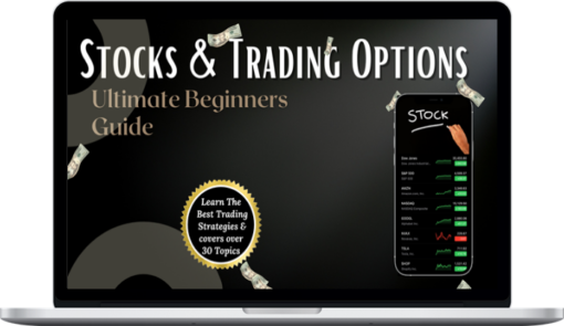 Black Stock Est. – Ultimate Beginners Guide To Stocks & Trading Options