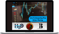 Buy The Hood LLC – Intro To Interpreting Price Action: Charting