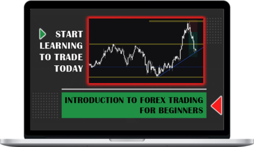 Real Life Investor Courses – Introduction to Forex Trading for Beginners